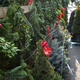 Illustration for article titled Photo Essay: NYCs Incredible Christmas Tree Seller Subculture